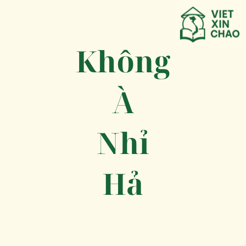 Why do Vietnamese people sometimes put question particles like không, à, nhỉ, or hả at the end of a sentence?